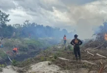 Pemadaman Karhutla Teluk Sampit Terkendala Air Minim-Tak Ada Jalan Darat Pemadaman Karhutla Teluk Sampit