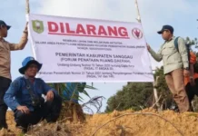 Pemkab Sanggau Sanksi Perusahaan yang Tanam Sawit