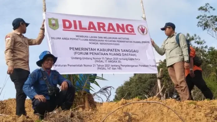 Pemkab Sanggau Sanksi Perusahaan yang Tanam Sawit Pemkab Sanggau Sanksi Perusahaan yang Tanam Sawit